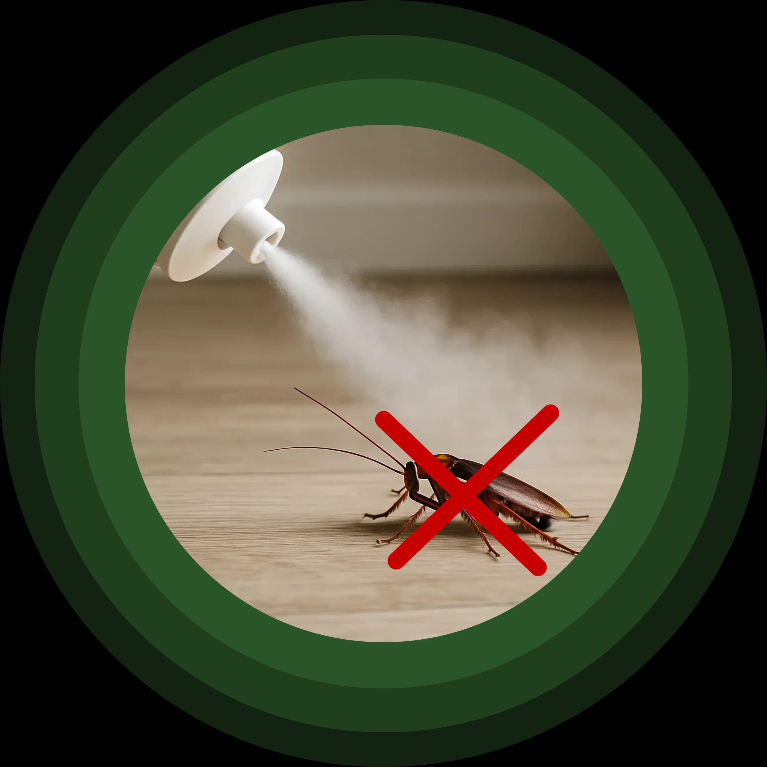 Уничтожим насекомых, грызунов, плесень и запахи на отличных условиях